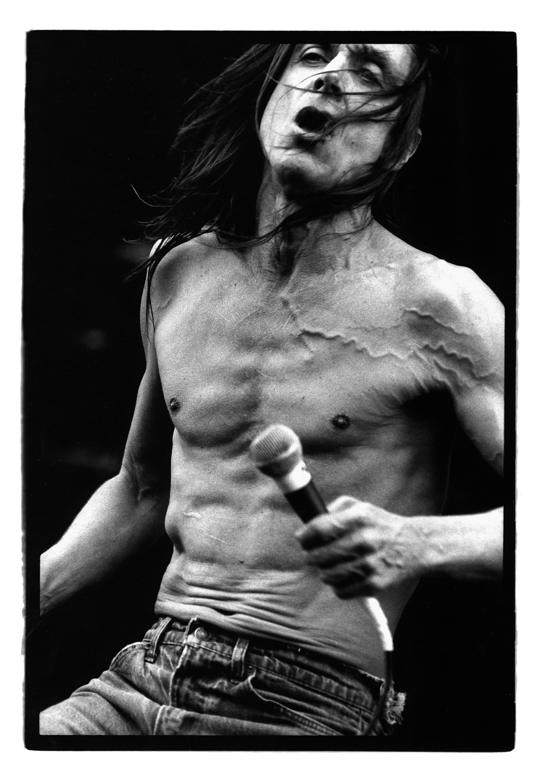 Iggy Pop